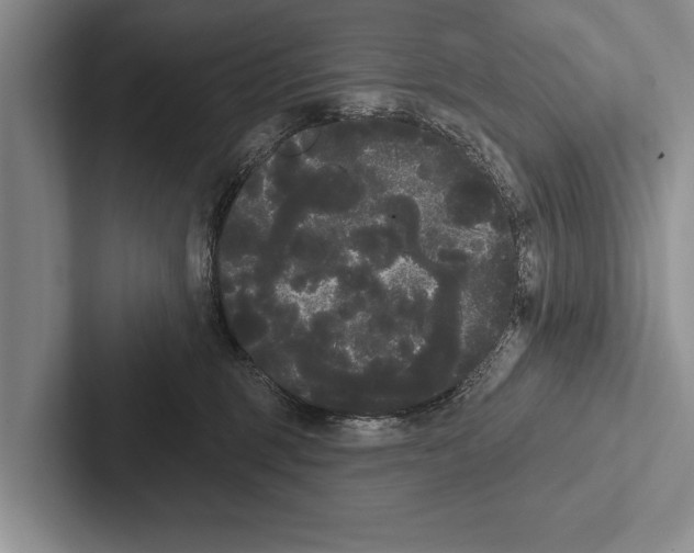 X0000102530375200809051514