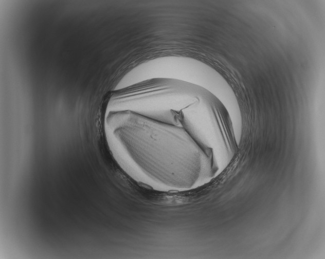 X0000102530376200809051514