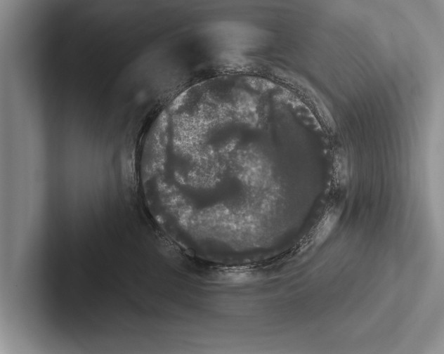 X0000102530377200809051514