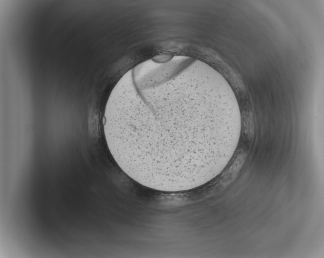X0000102530378200809051514