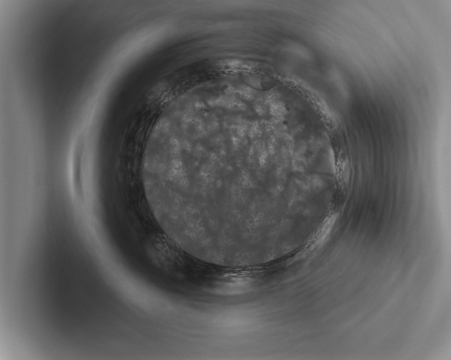 X0000102530381200809051514