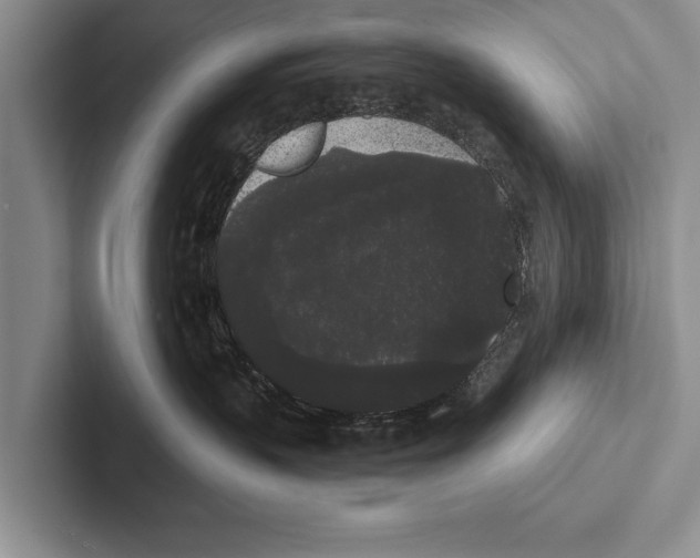 X0000102530383200809051514