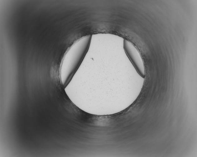 X0000102530384200809051514