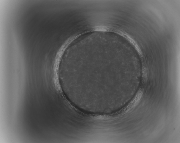 X0000102530385200809051514