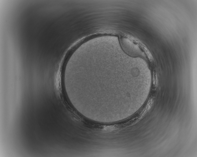 X0000102530388200809051514