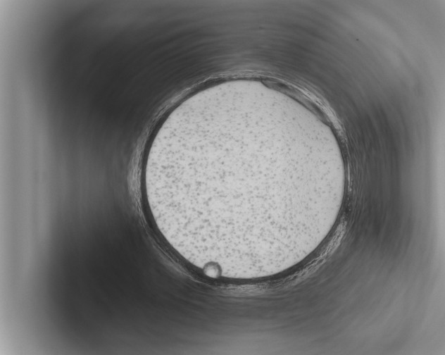 X0000102530389200809051514