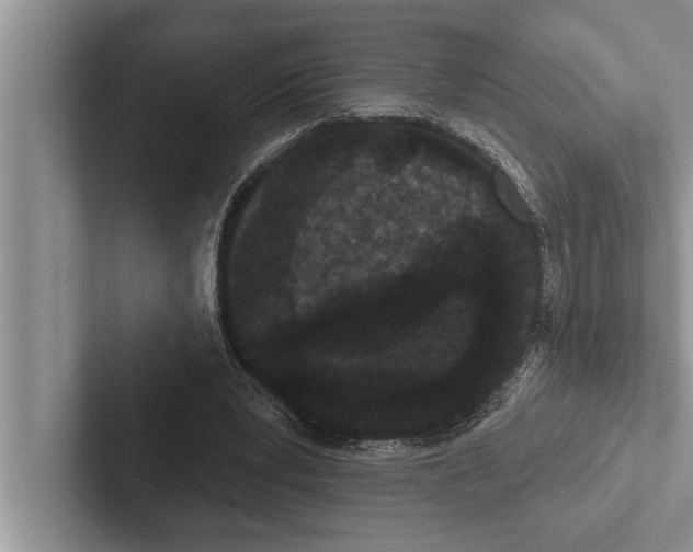 X0000102530391200809051514