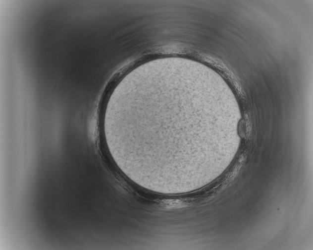 X0000102530392200809051514