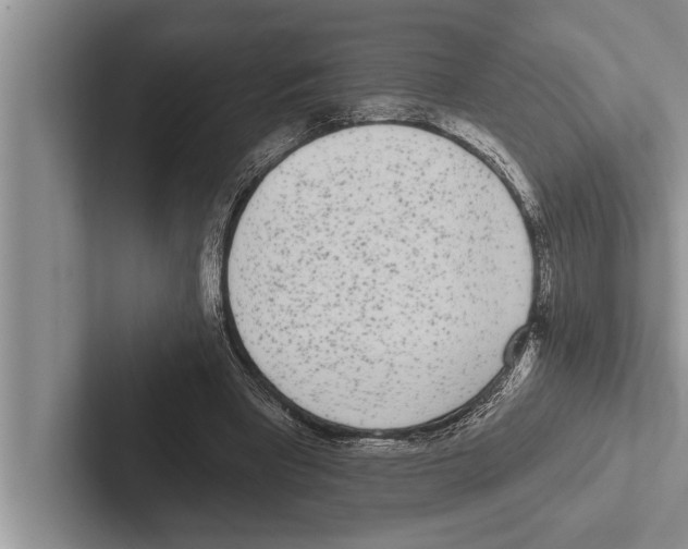 X0000102530393200809051514