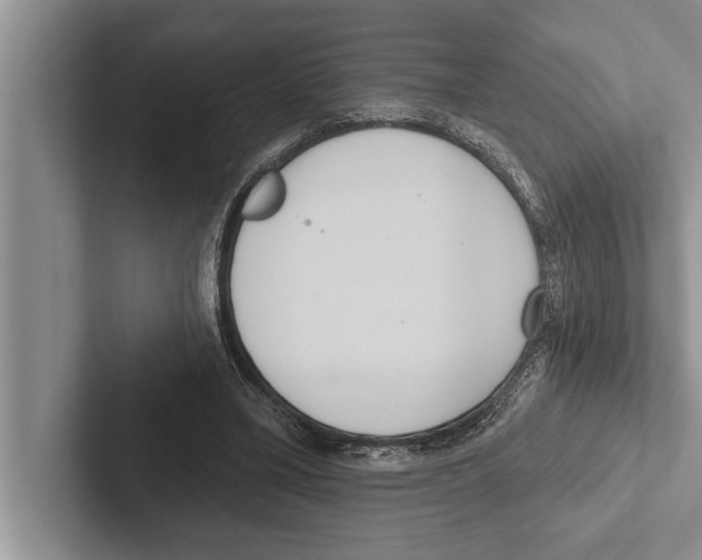 X0000102530395200809051514