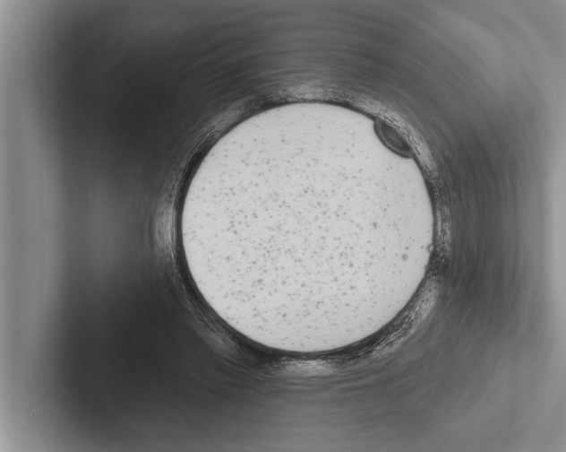 X0000102530397200809051514