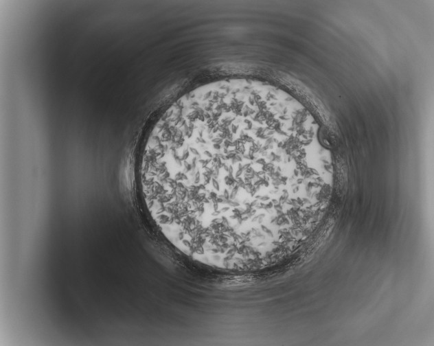X0000102530398200809051514