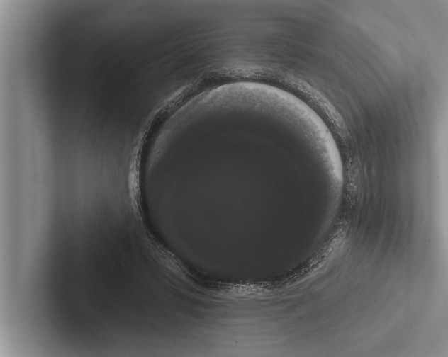 X0000102530399200809051513