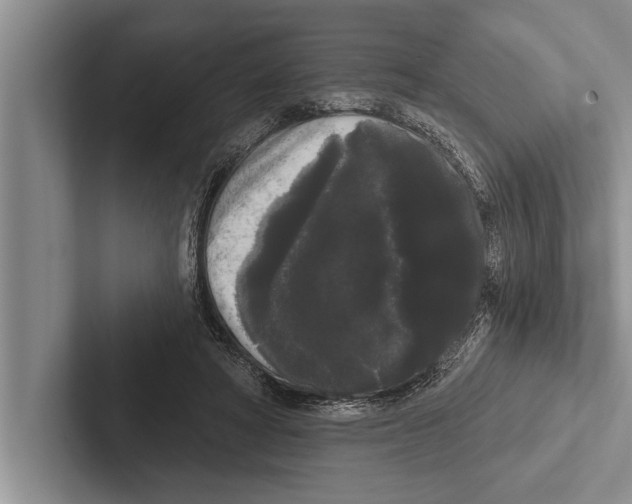 X0000102530402200809051513