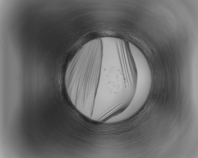 X0000102530409200809051513