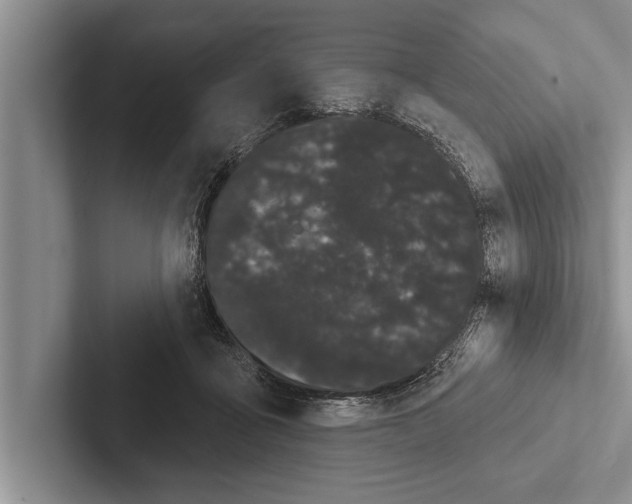 X0000102530411200809051513