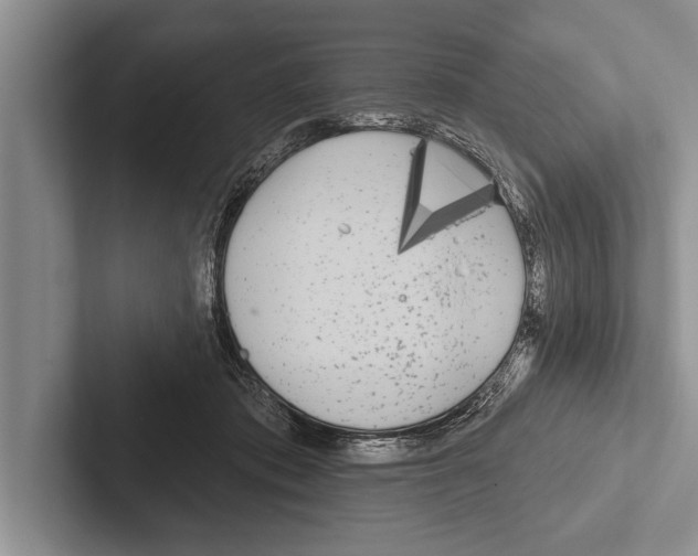 X0000102530413200809051513