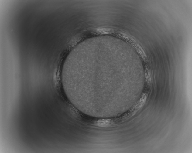 X0000102530418200809051513