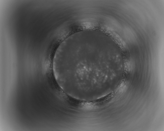 X0000102530419200809051513