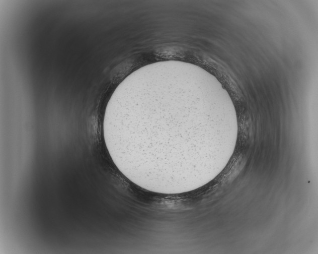 X0000102530420200809051513