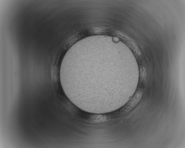 X0000102530421200809051513