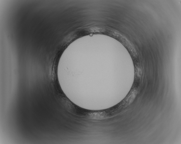 X0000102530422200809051513