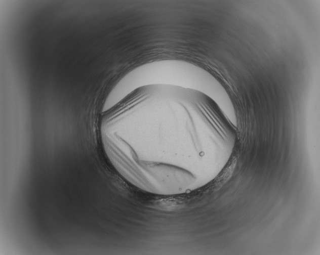 X0000102530423200809051513
