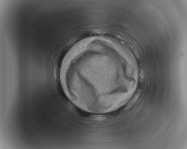 X0000102530424200809051513