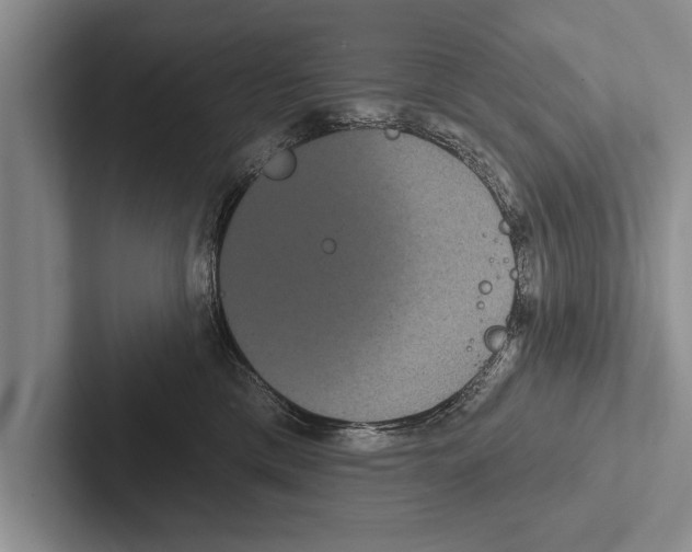 X0000102530425200809051513