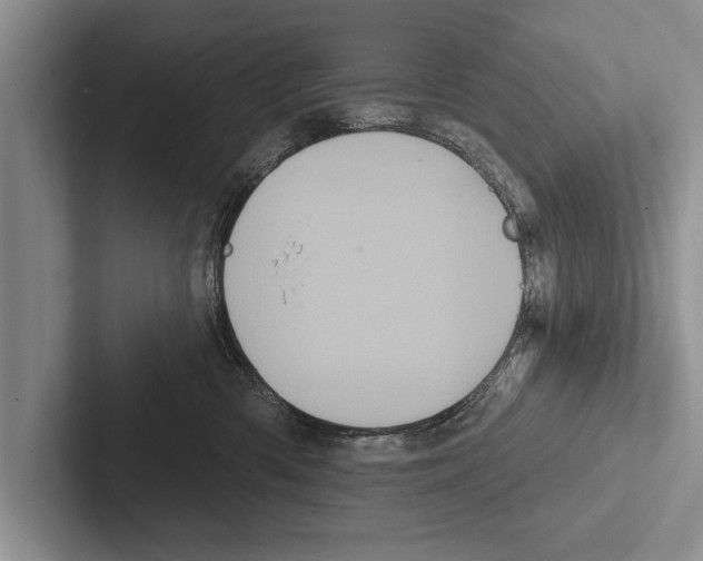 X0000102530426200809051513