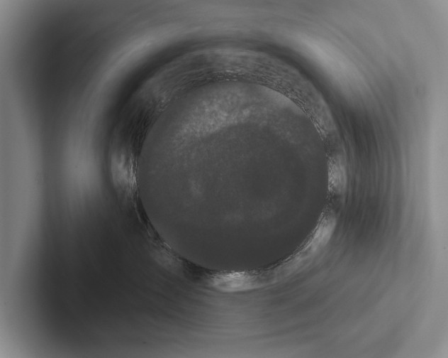 X0000102530431200809051513
