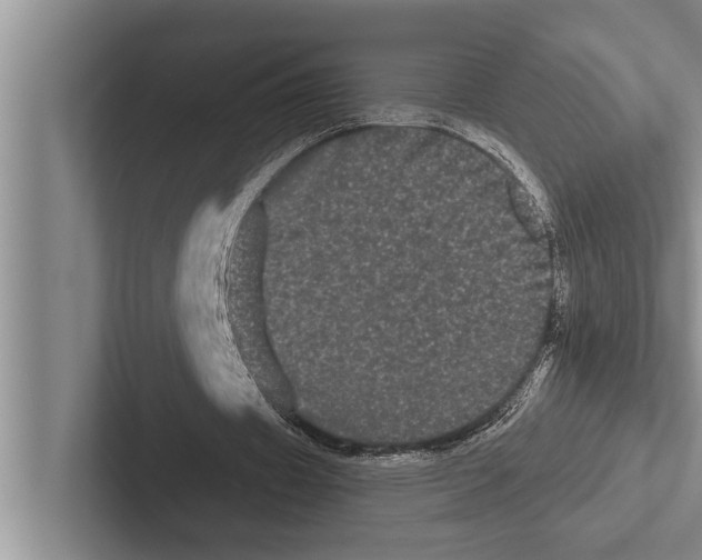 X0000102530433200809051512