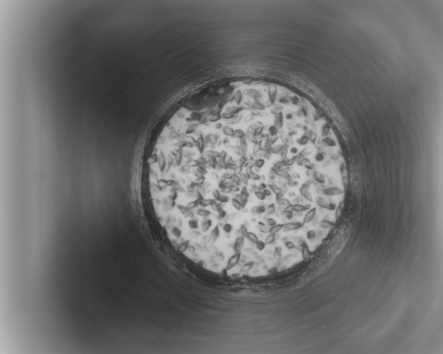 X0000102530434200809051512