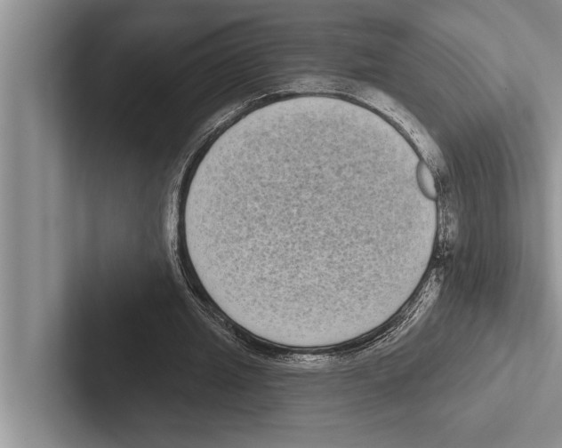 X0000102530437200809051512