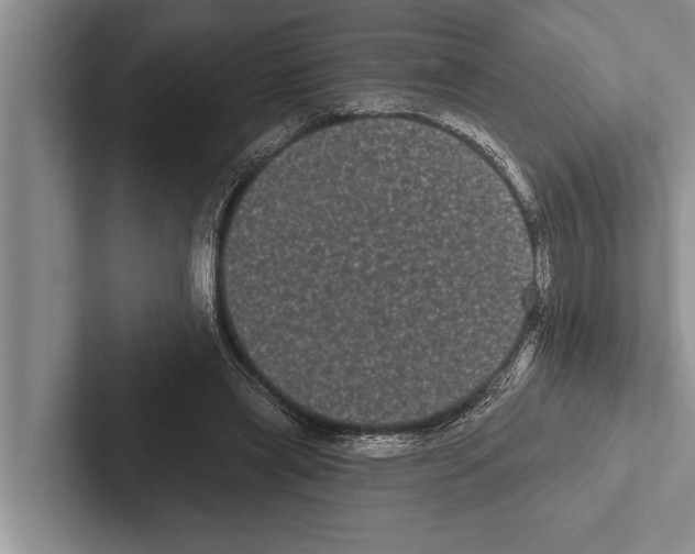 X0000102530445200809051513