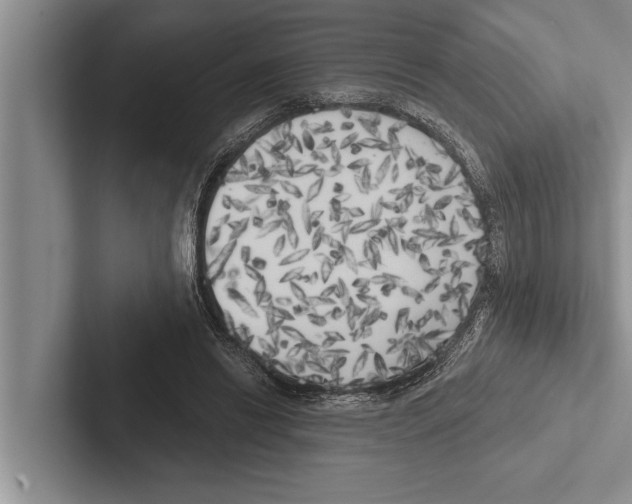 X0000102530446200809051513