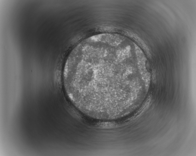X0000102530449200809051513