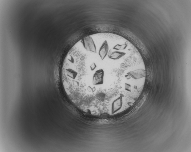 X0000102530453200809051513