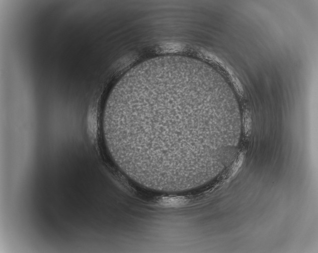 X0000102530455200809051513