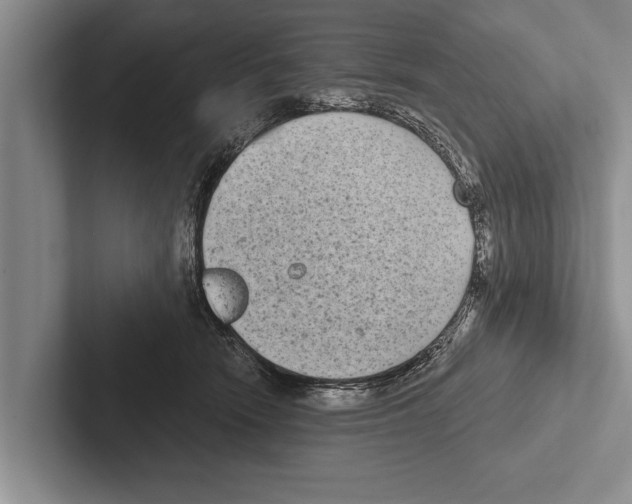 X0000102530466200809051513