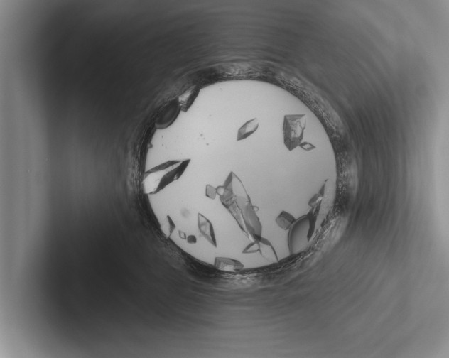X0000102530469200809051513