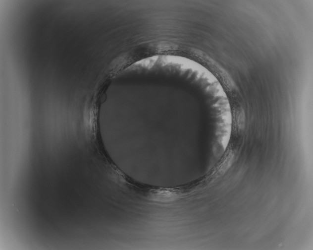 X0000102530475200809051513