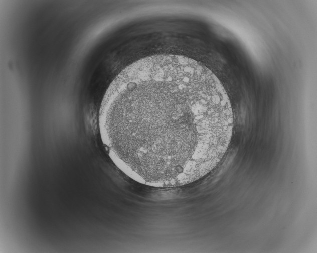 X0000102530479200809051513