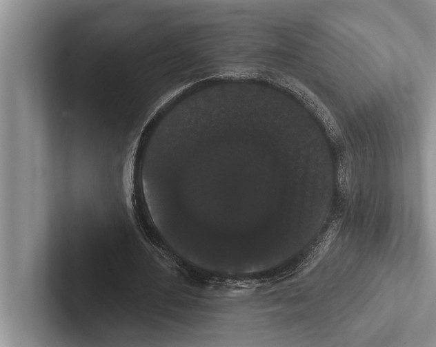 X0000102530484200809051512