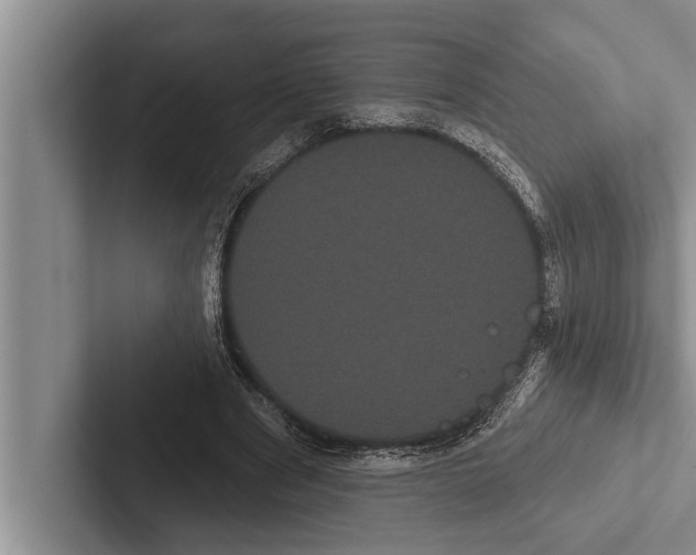 X0000102530489200809051512