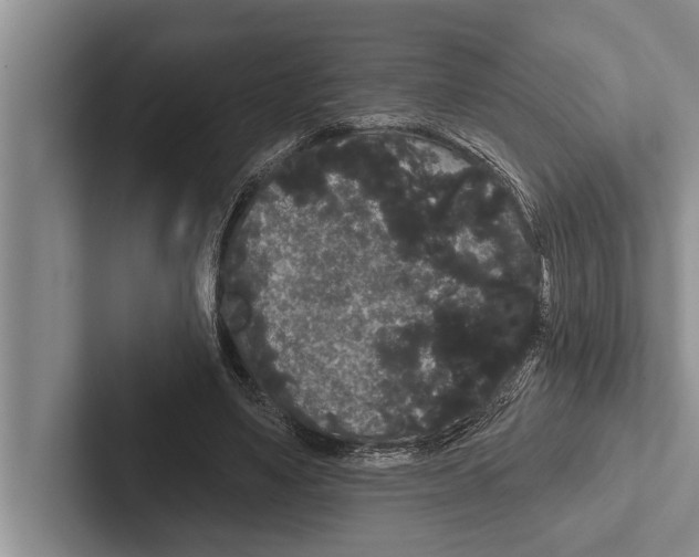 X0000102530491200809051512