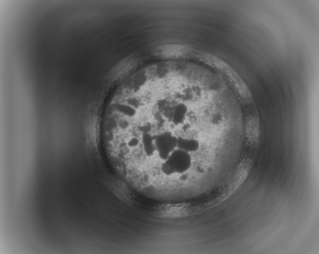 X0000102530495200809051512