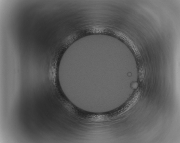 X0000102530497200809051512