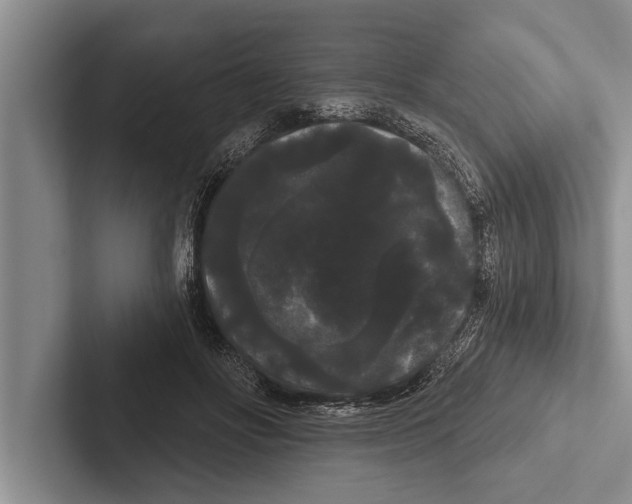 X0000102530502200809051512