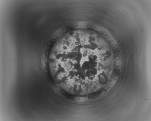 X0000102530503200809051512